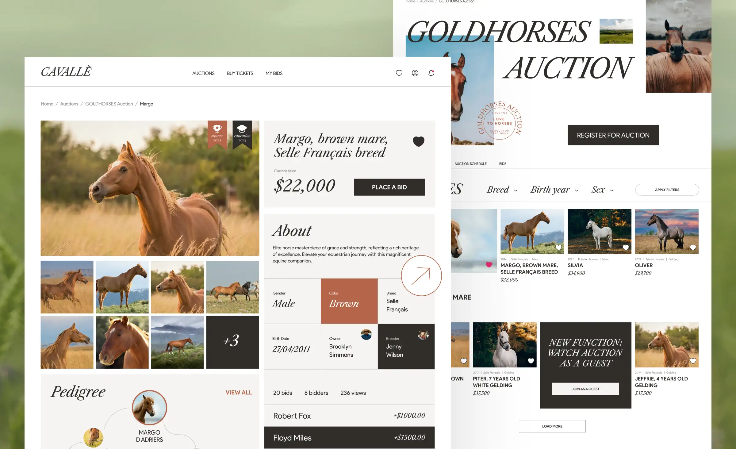 E-commerce development solutions: auction marketplace design concept