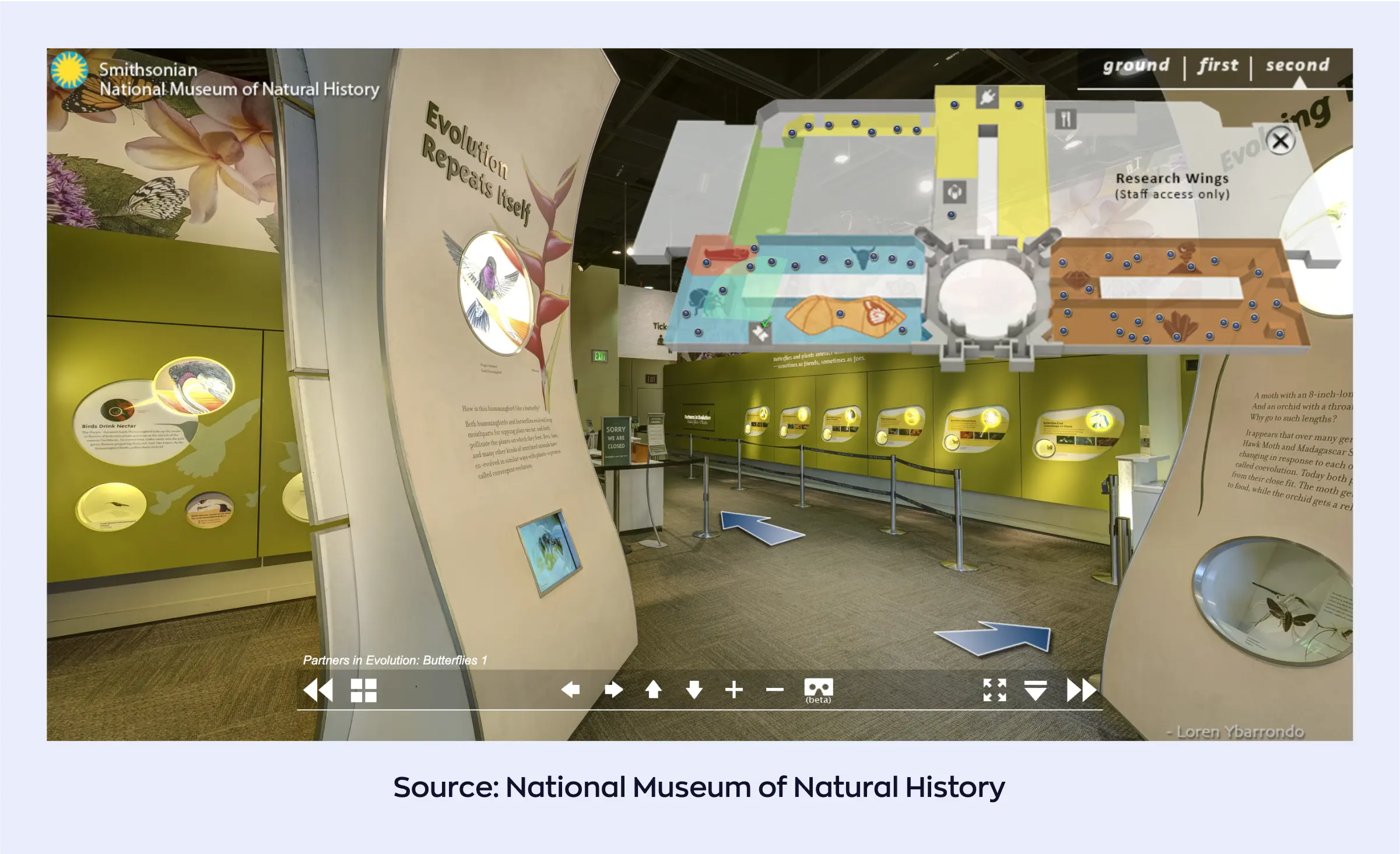 Travel software development: Vitrual tour from the National Museum of Natural History