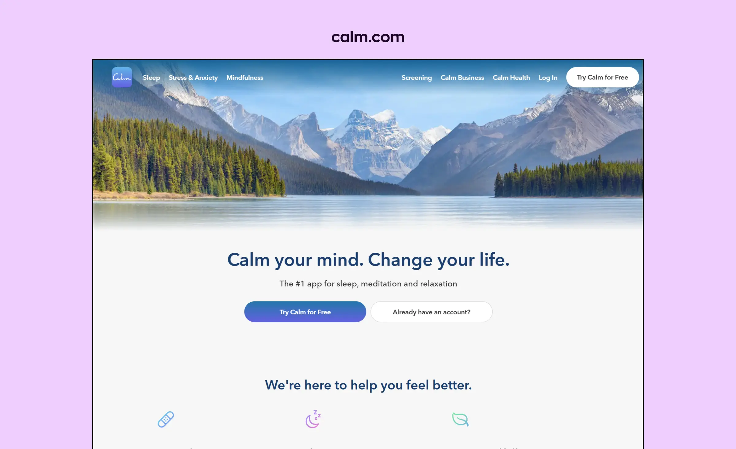 Calm healthcare website design