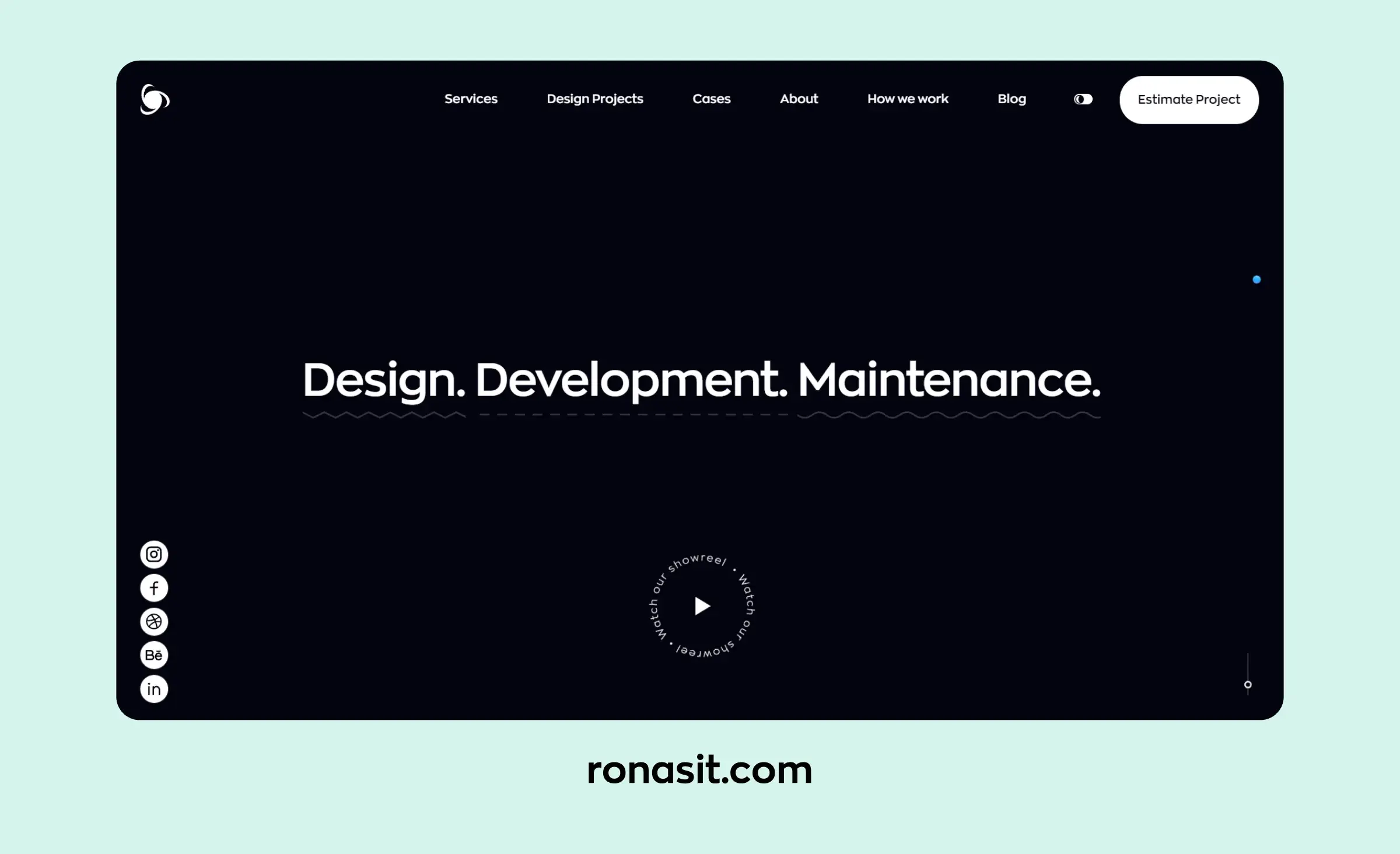 Ronas IT software outsourcing company