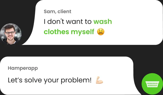 In-app chat where a client asks not to wash clothes and is offered help.