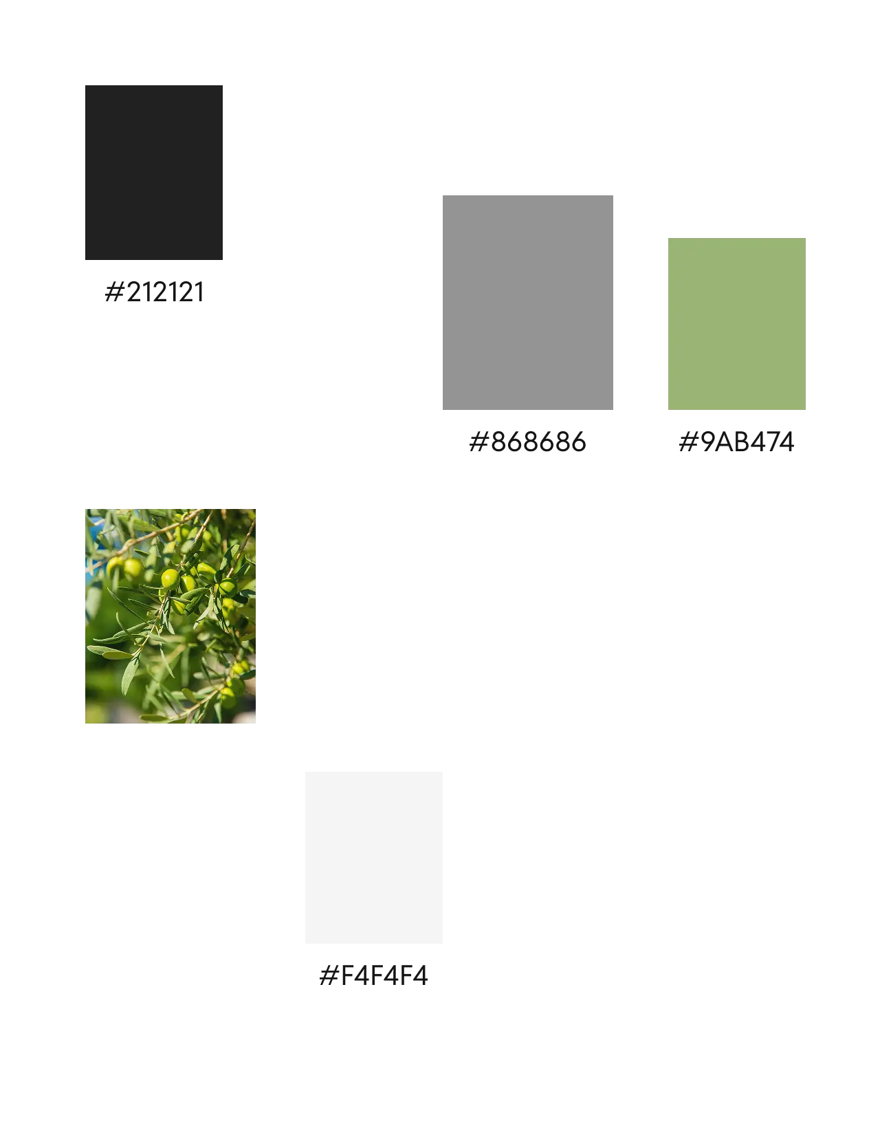Brand color palette of dark grey, grey, sage green and light neutral swatches beside an olive branch photo.