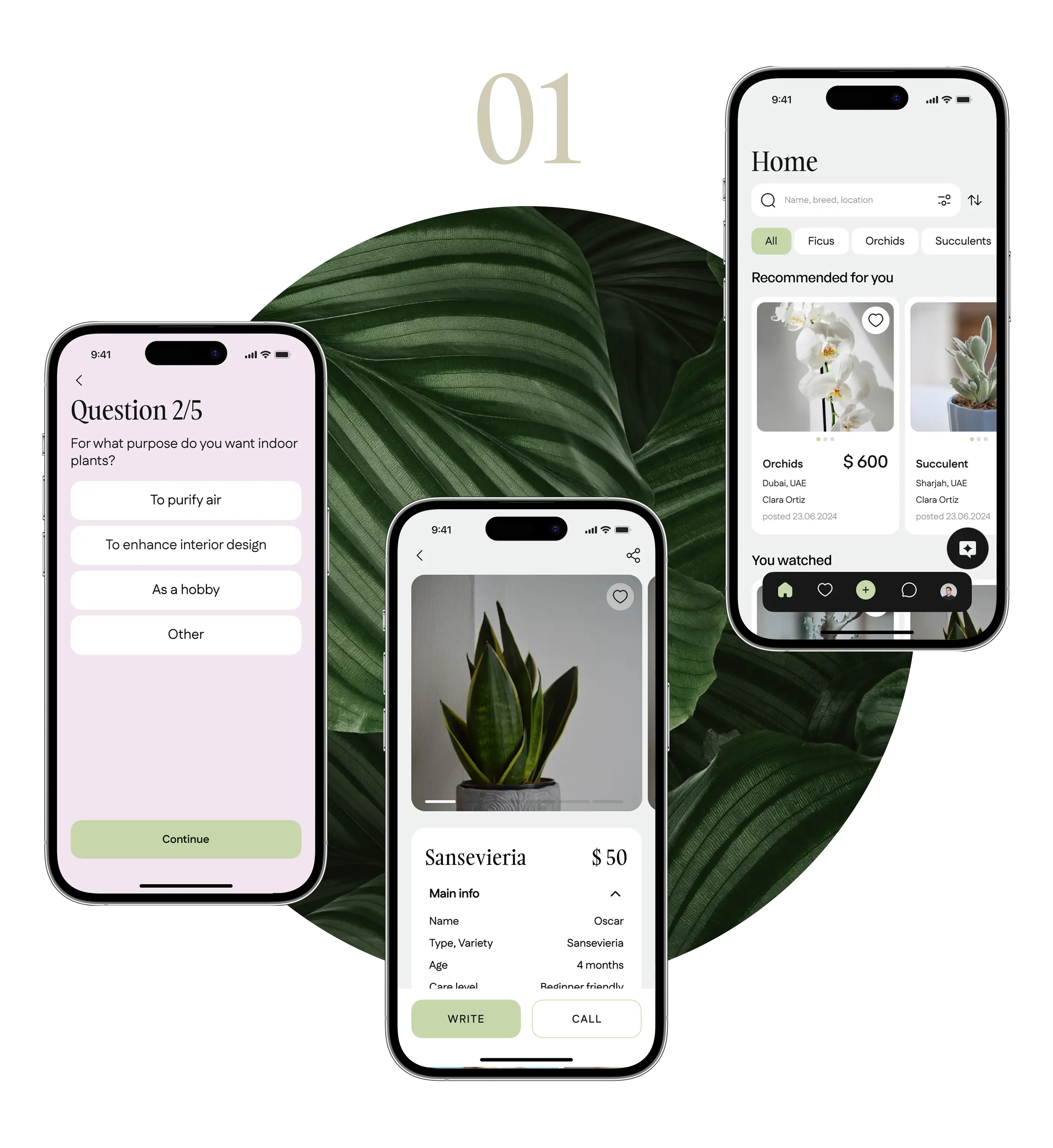 Phone mockups of the plant marketplace app shown on leaves, labelled concept 01.