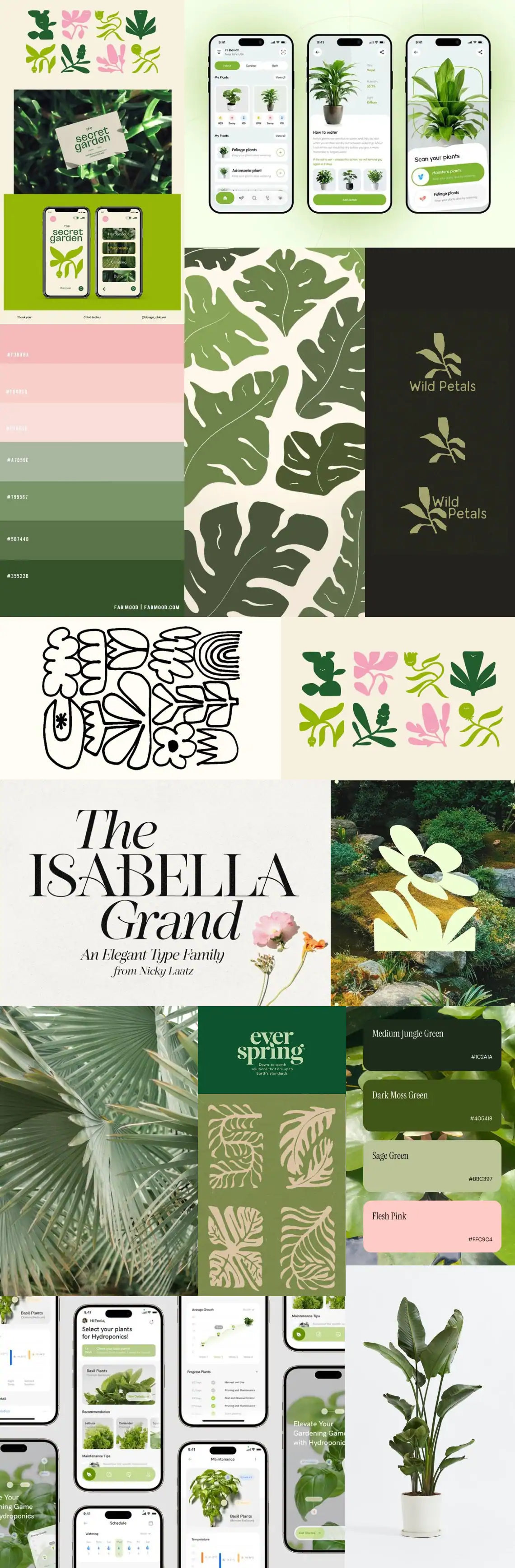 Mood board of plant photos, green colour palettes, typography samples, and app screens guiding the visual style.