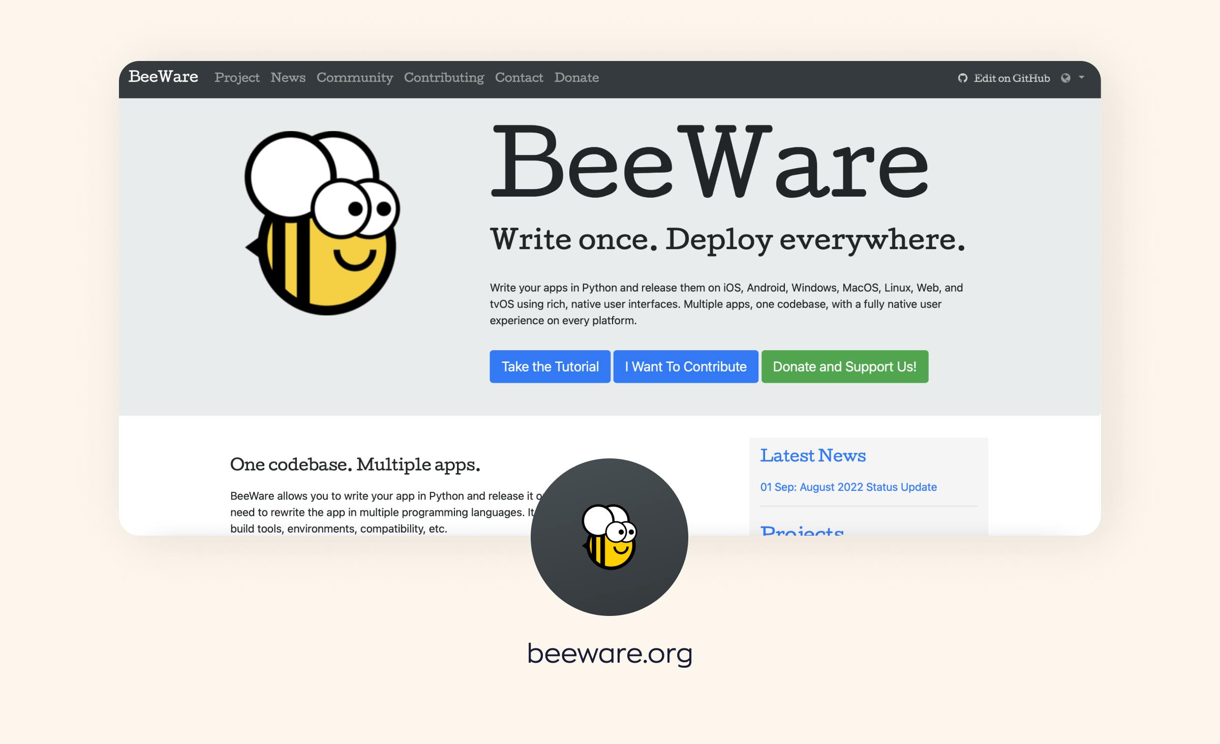 Python most popular frameworks overview: BeeWare