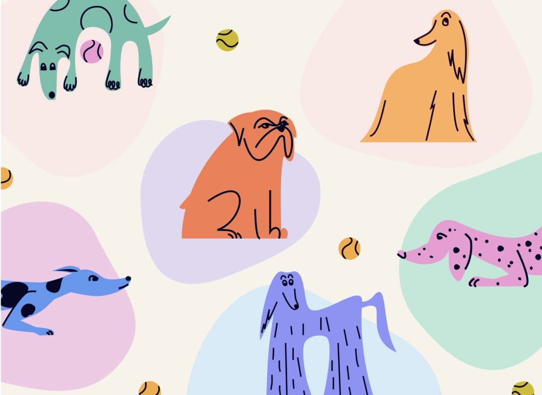 Pattern of hand-drawn dog breeds, including a boxer, greyhound, dachshund, and afghan hound, on pastel shapes